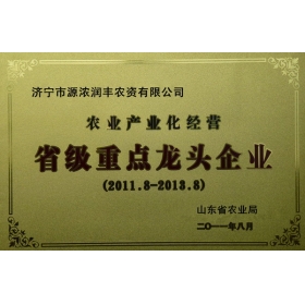 省级重点龙头企业
